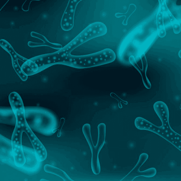 Unlock the power of prebiotics for pet nutrition