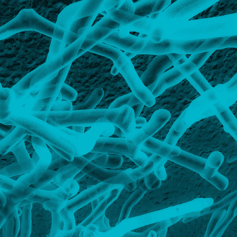 Proven, High-Performance Prebiotic