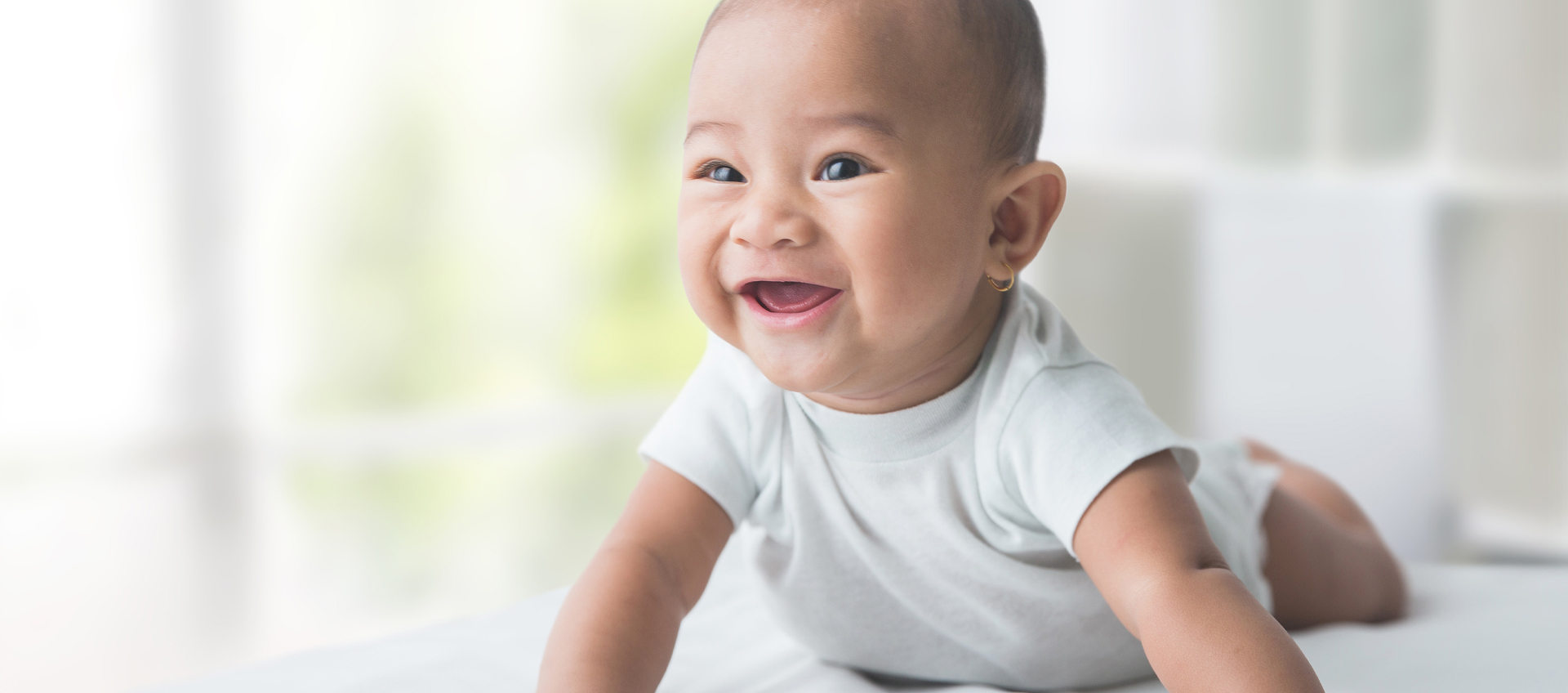 Supporting Digestive Health in Infants  background image
