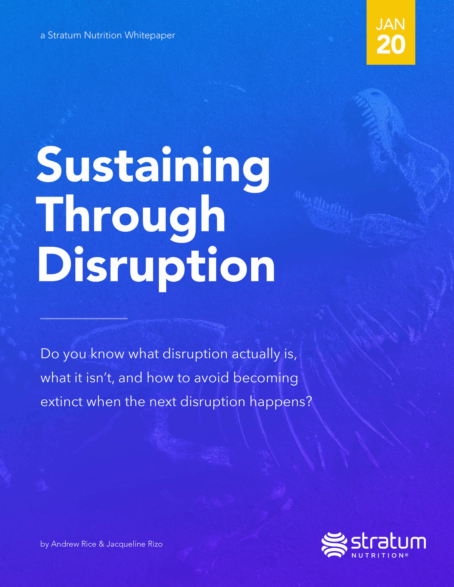 Sustaining Through Disruption blog image